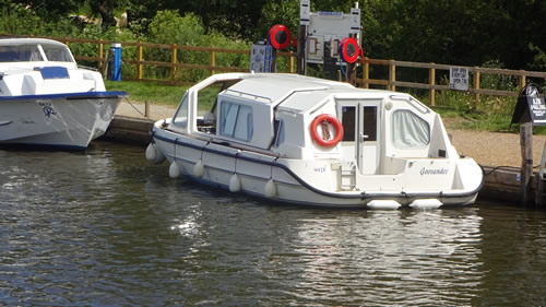 Goosander at Wroxham