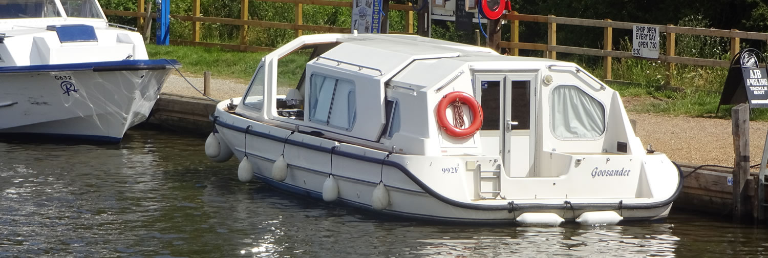 Goosander at Wroxham