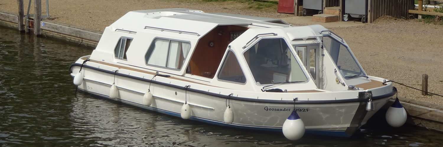 Goosander at Wroxham